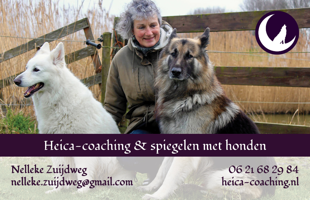 Heica coaching spiegelen met honden Nelleke Zuijdweg visiekaartje