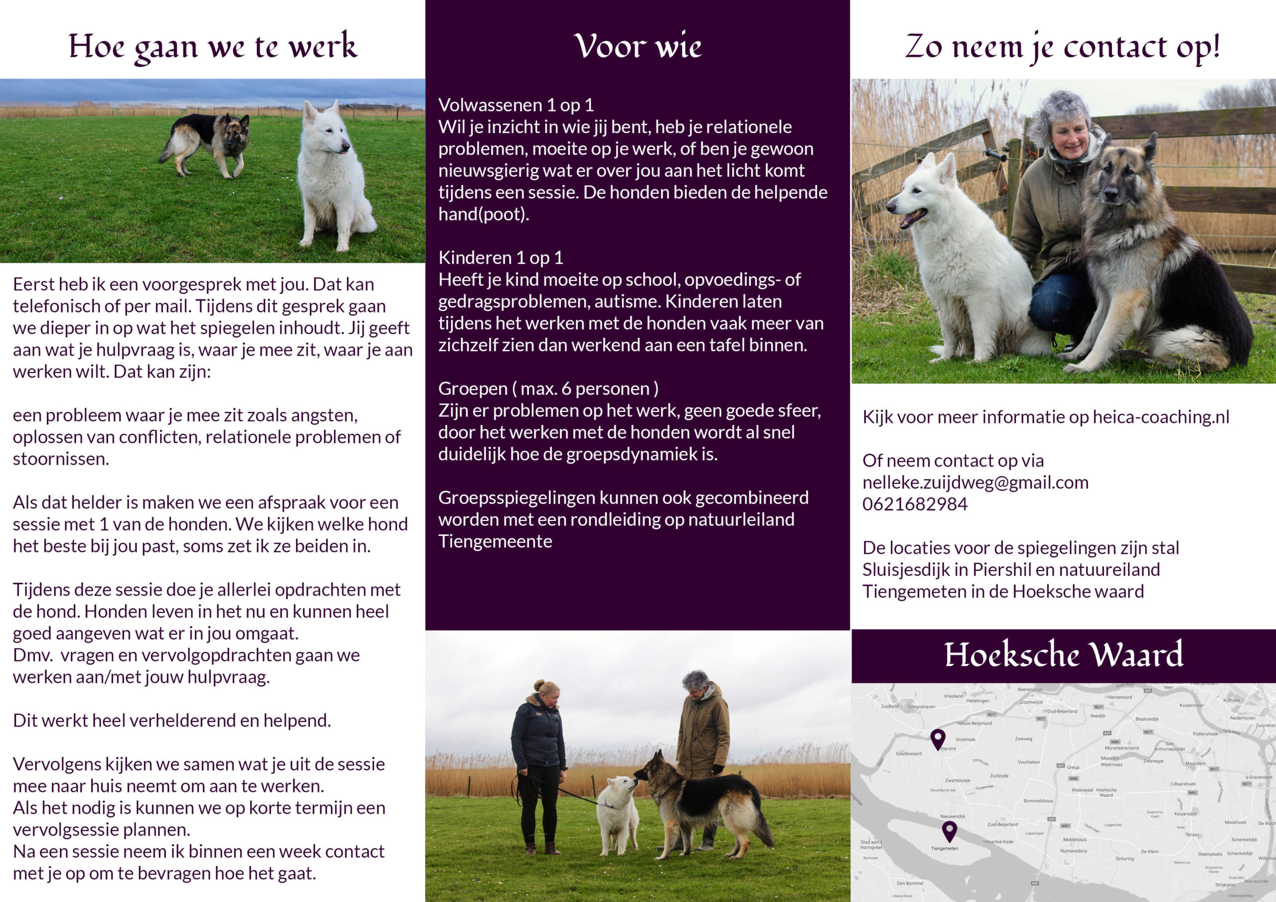 Heica coaching spiegelen met honden Nelleke Zuijdweg flyer